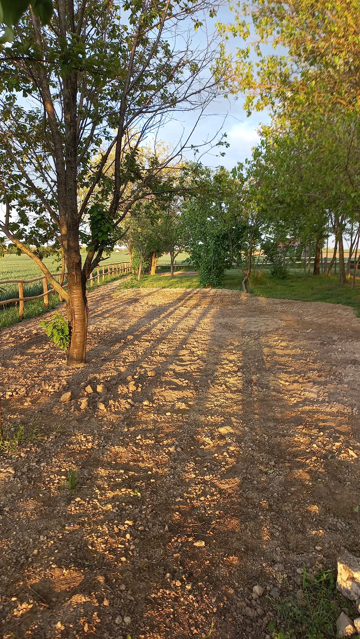 gallery grid image