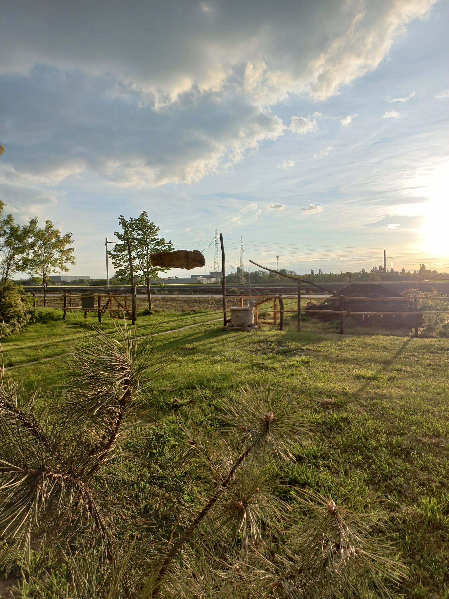gallery grid image